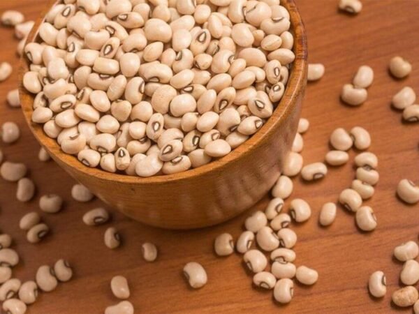 Soya Seeds