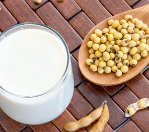 Dried Soya Powder For Milk